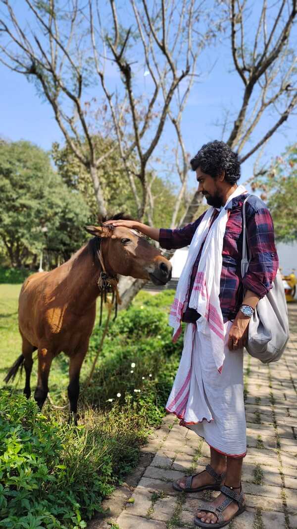 Beware the horse. It bites.